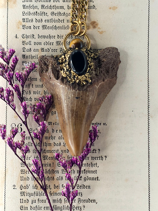 Fossilized shark tooth amulet