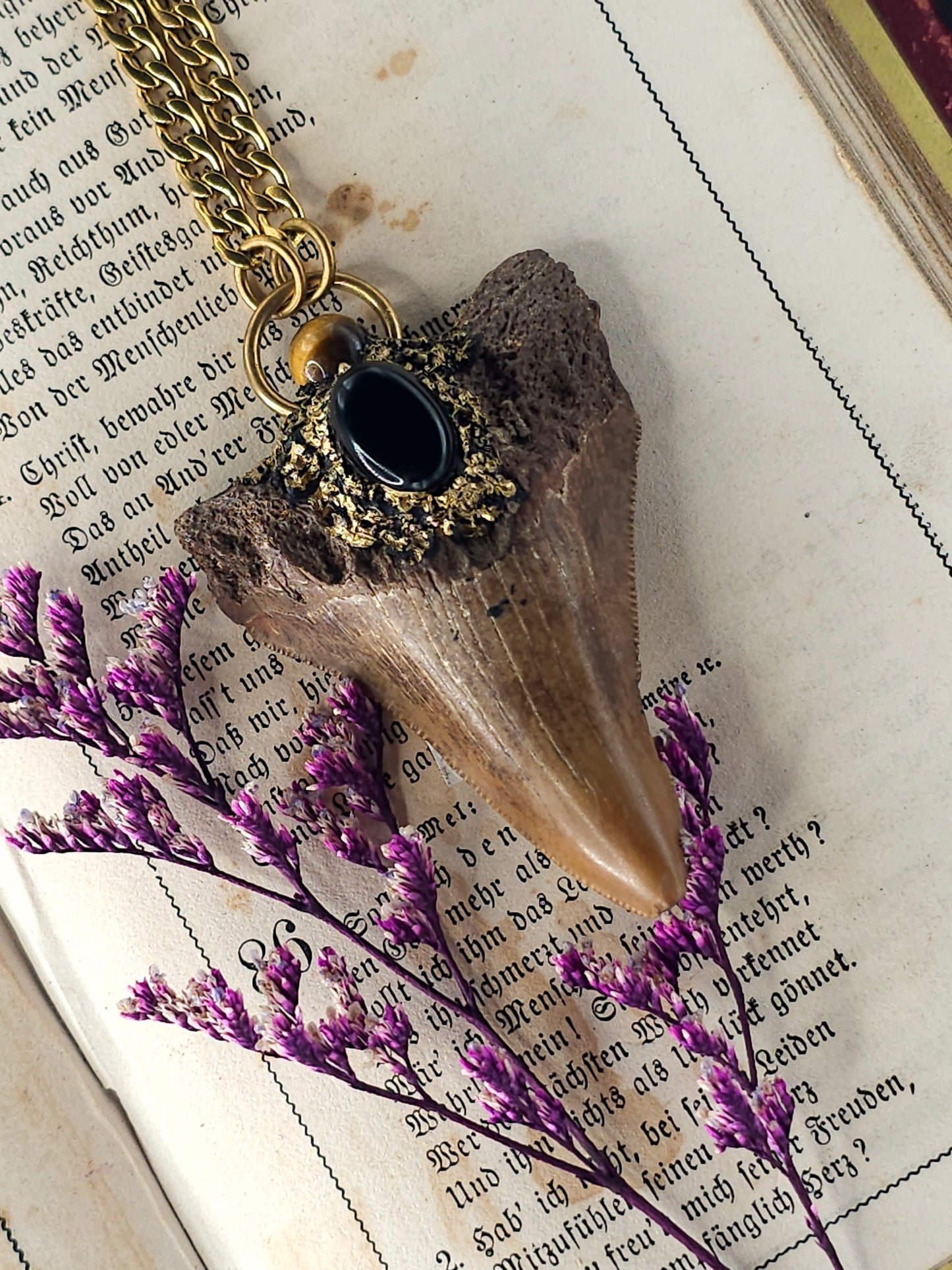 Fossilized shark tooth amulet