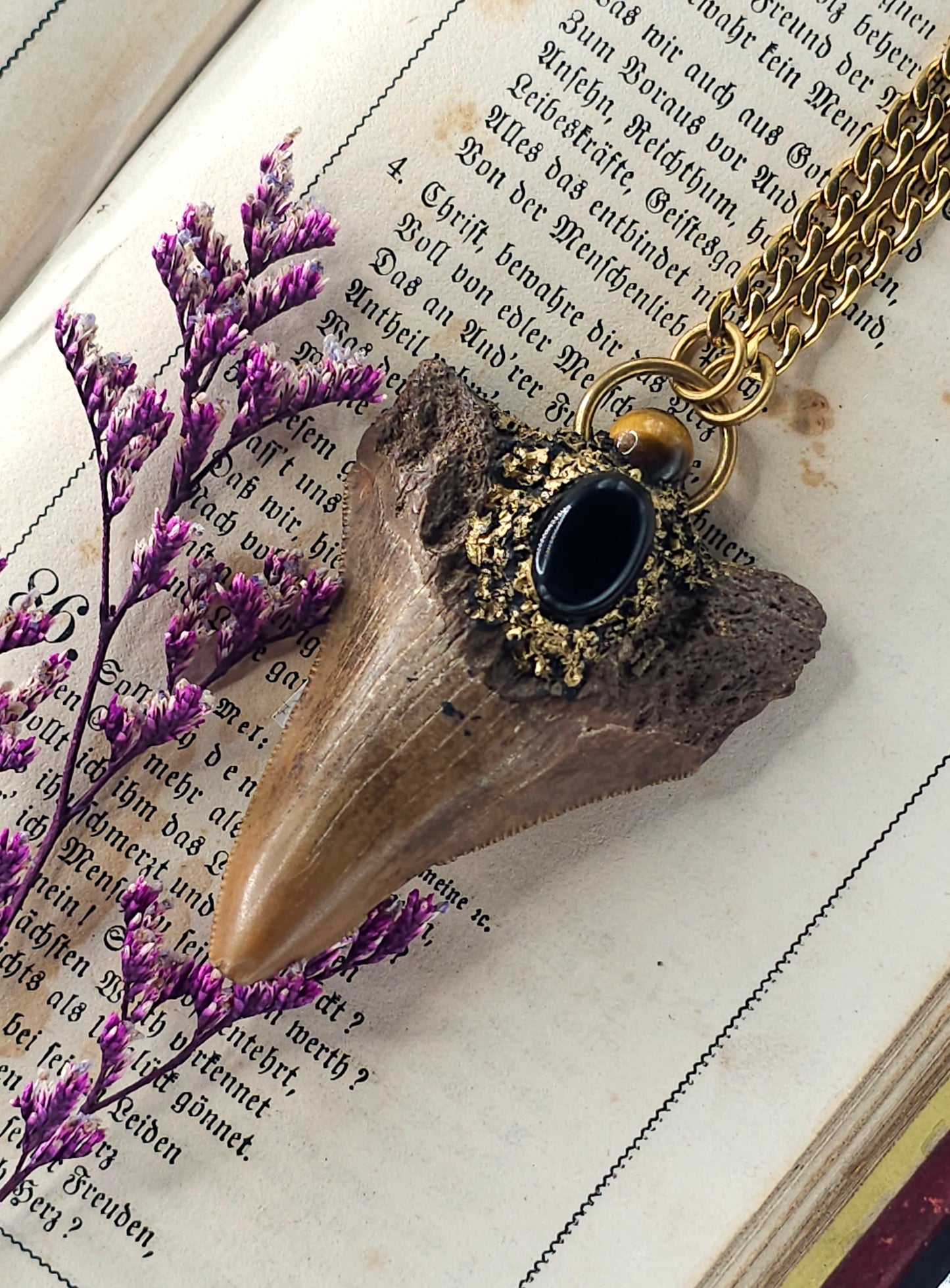 Fossilized shark tooth amulet